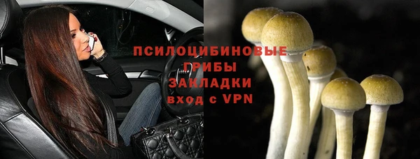 дмт Ладушкин