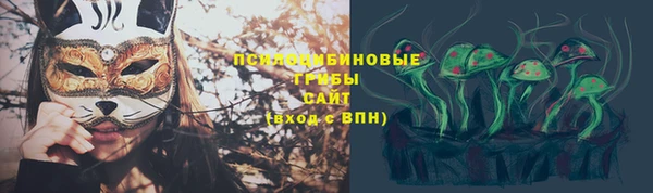 бошки Лагань