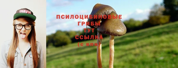 гидропоника Лабытнанги