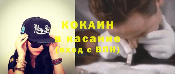 ГАЛЛЮЦИНОГЕННЫЕ ГРИБЫ Заречный