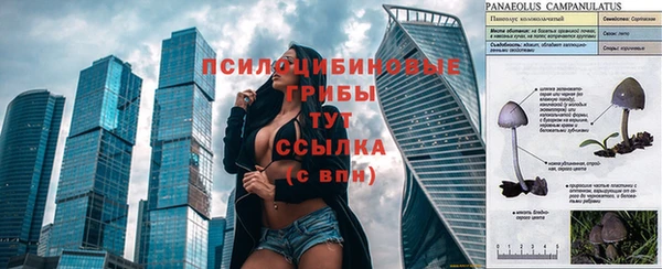 гидропоника Лабытнанги
