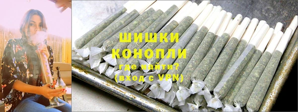 дмт Ладушкин