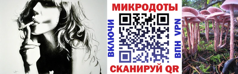 Псилоцибиновые грибы Magic Shrooms ОМГ ОМГ ССЫЛКА Миллерово